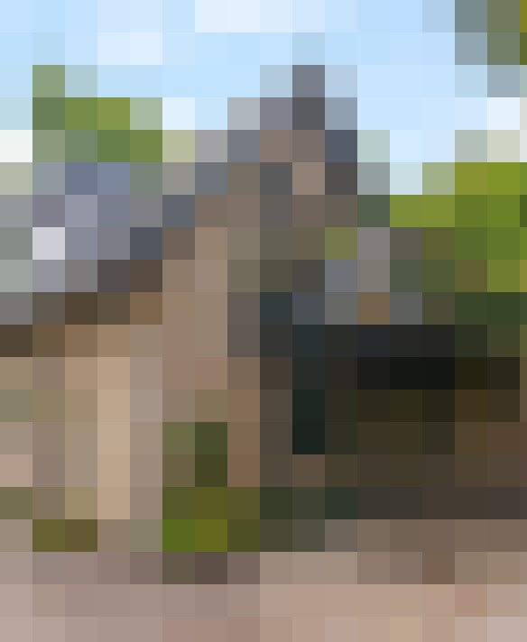 Image 39