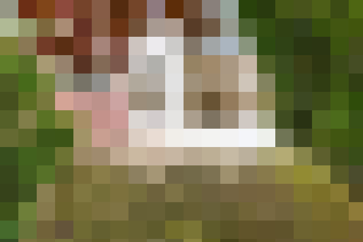 Image 17