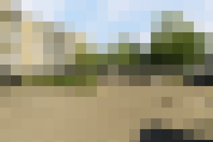Image 13