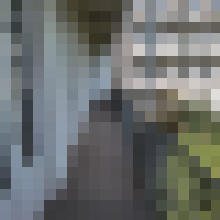 Image 16