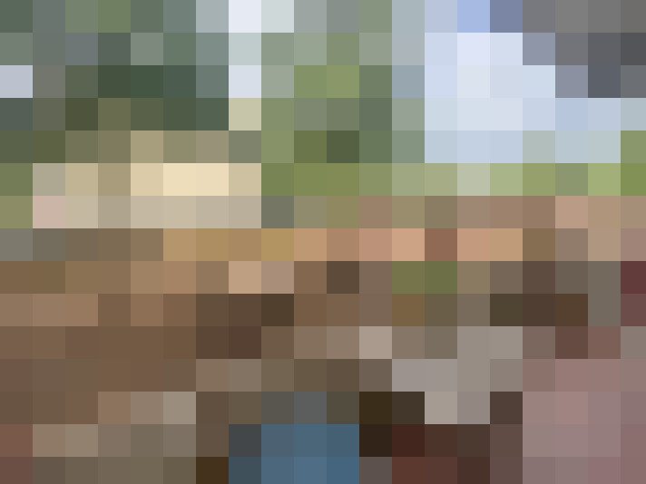 Image 27