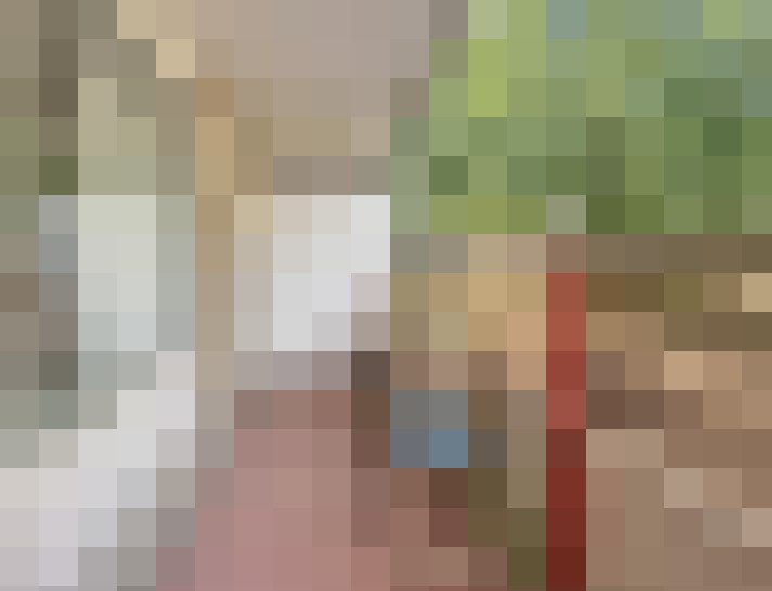 Image 26