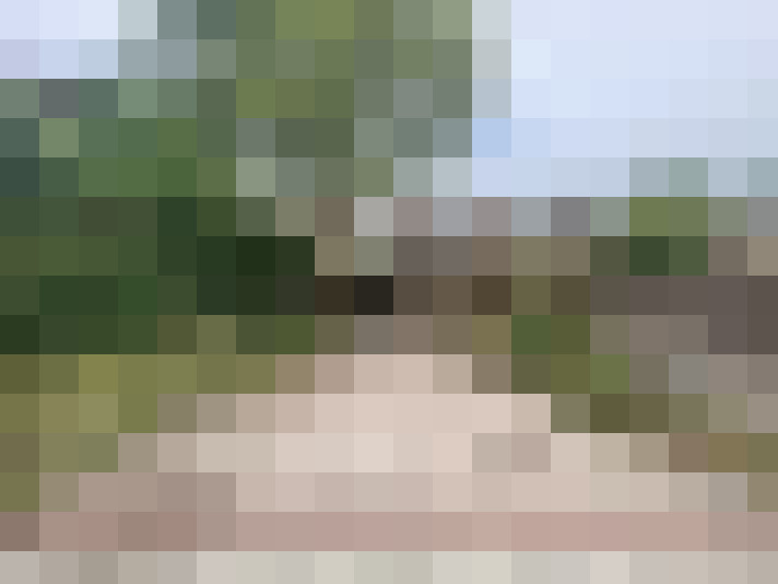 Image 23