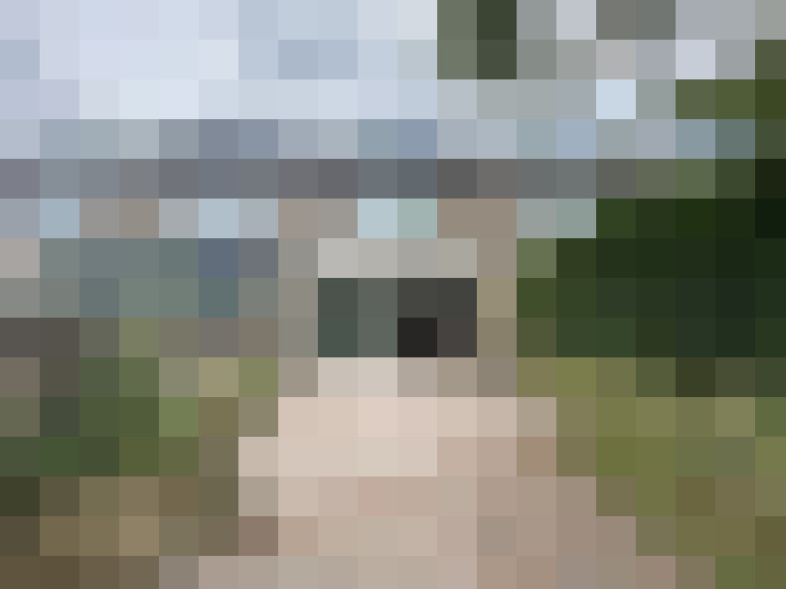 Image 24