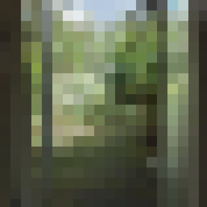 Image 14