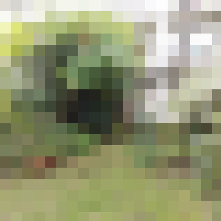 Image 15