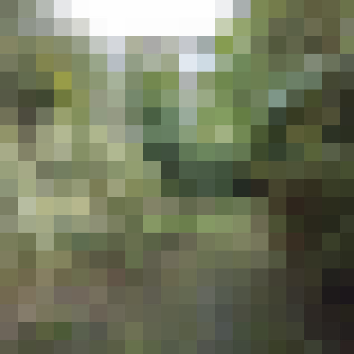 Image 16