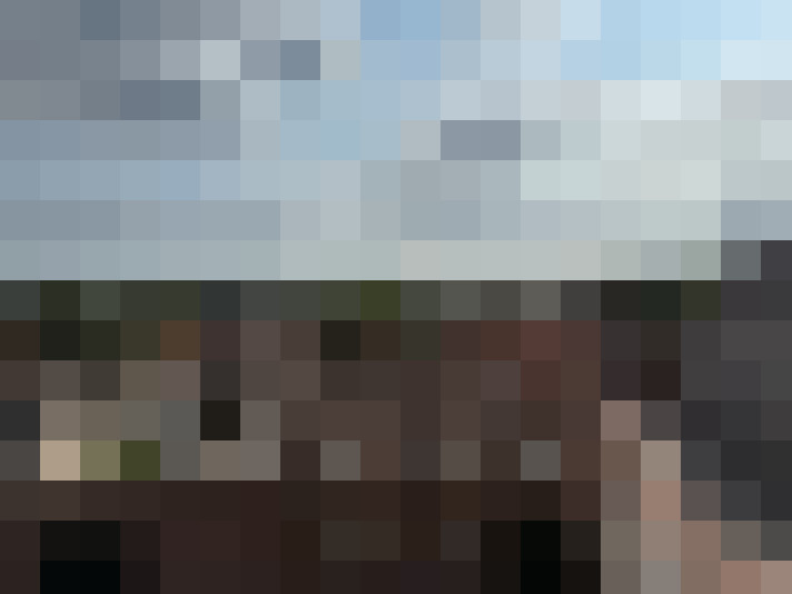 Image 15