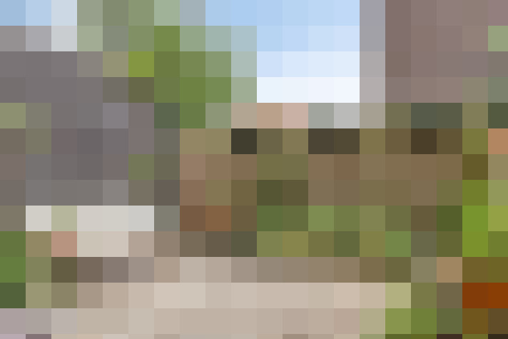 Image 13