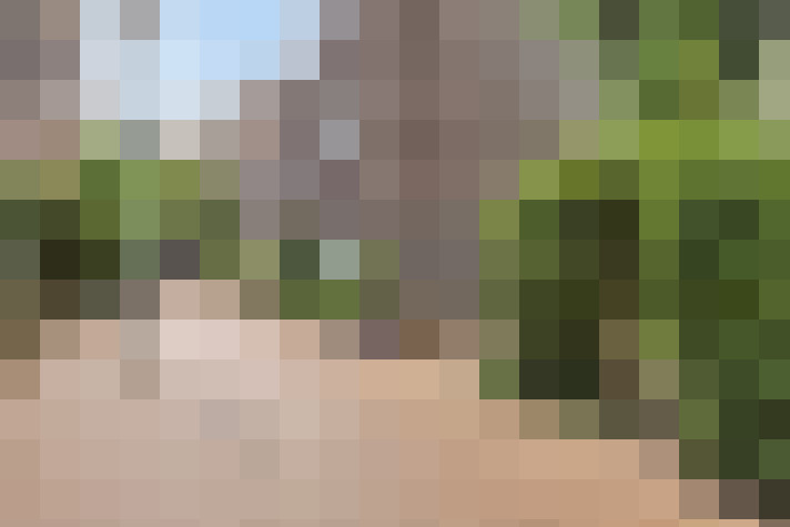 Image 17