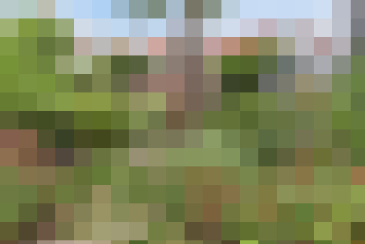 Image 16