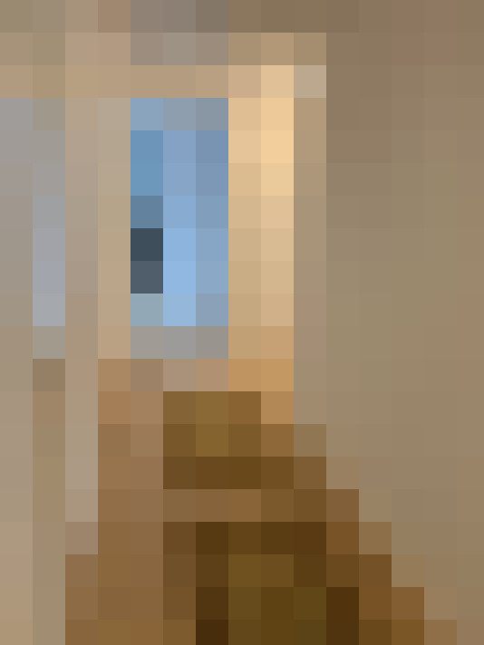 Image 29