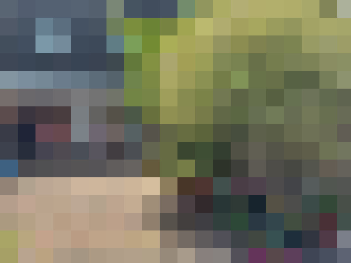 Image 13