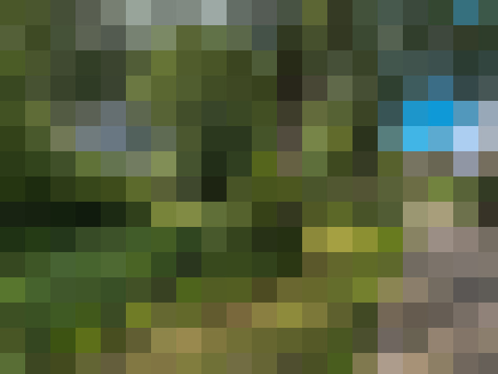 Image 36