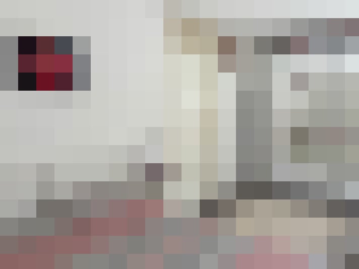Image 20