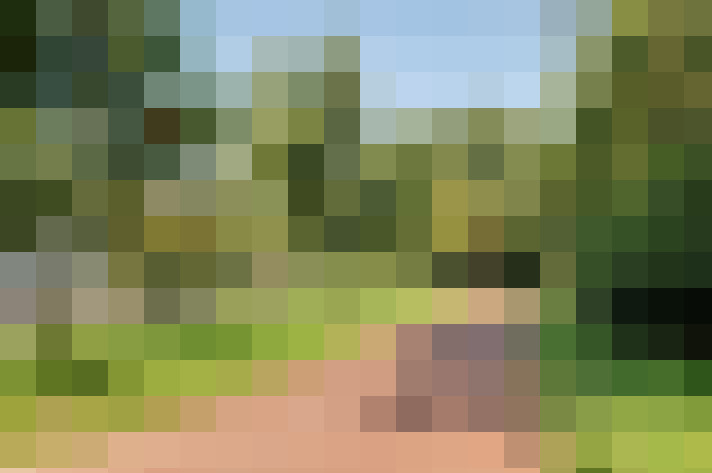 Image 13