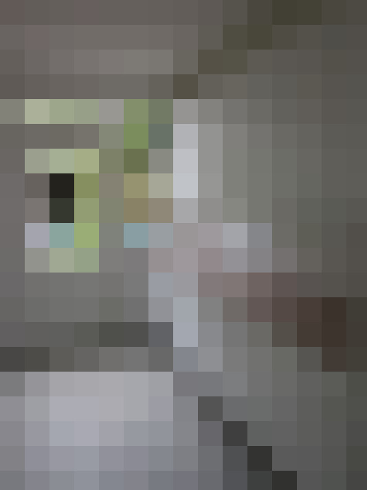 Image 15