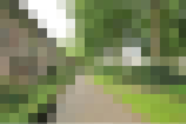 Image 16