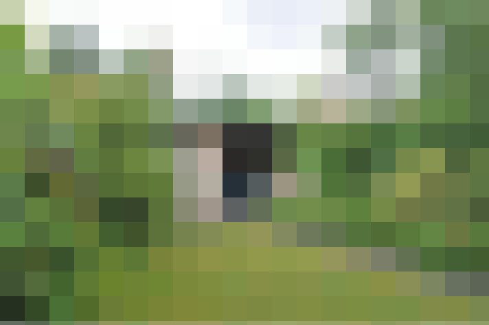 Image 18