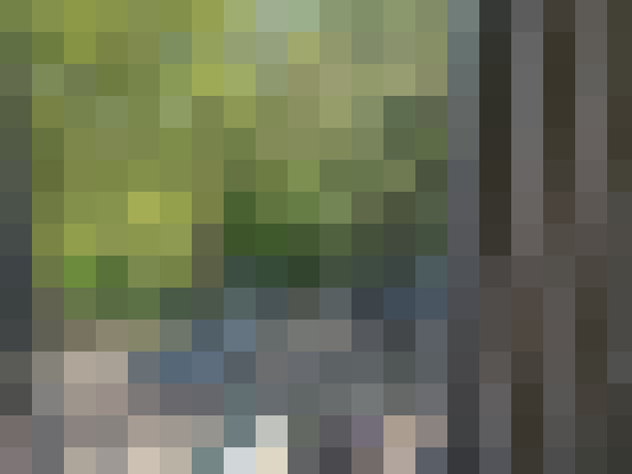 Image 15