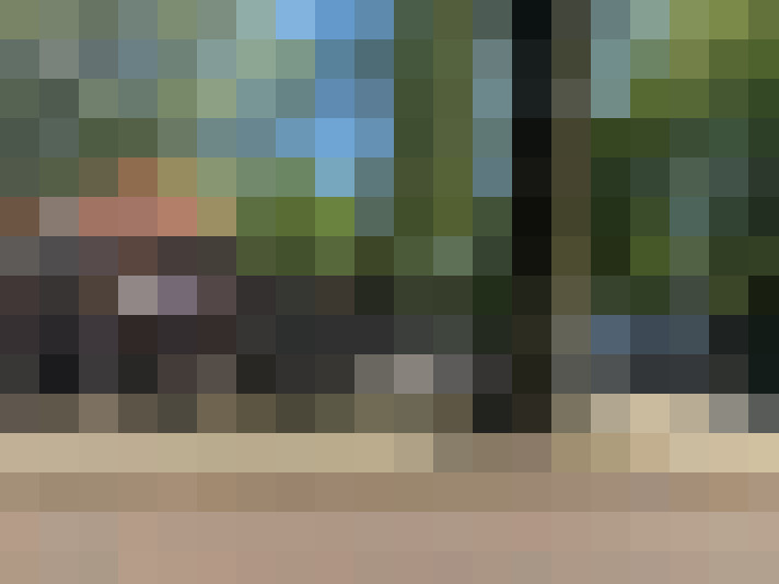 Image 20