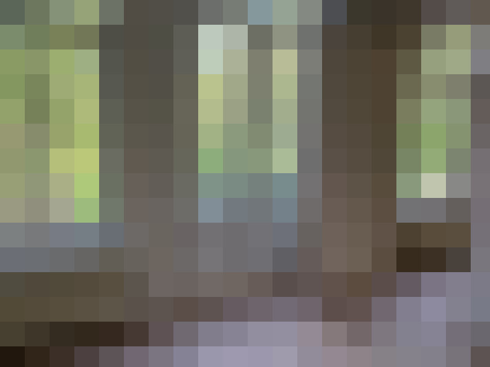 Image 14