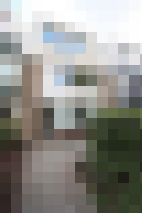 Image 23