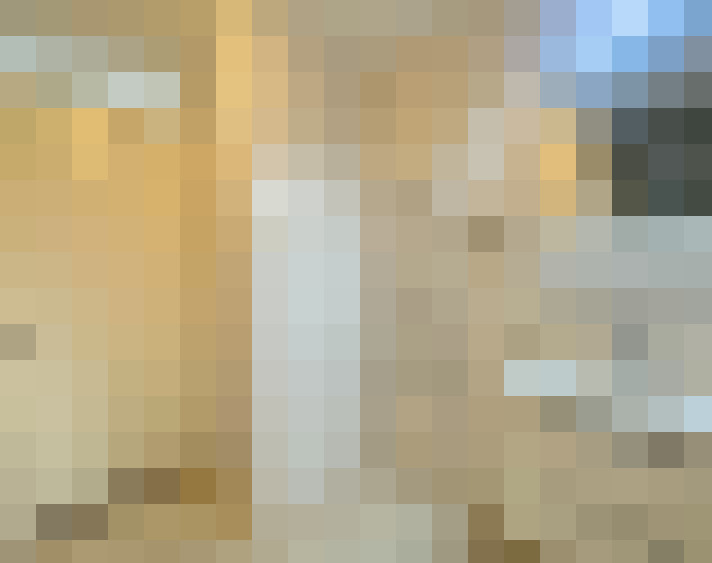 Image 20