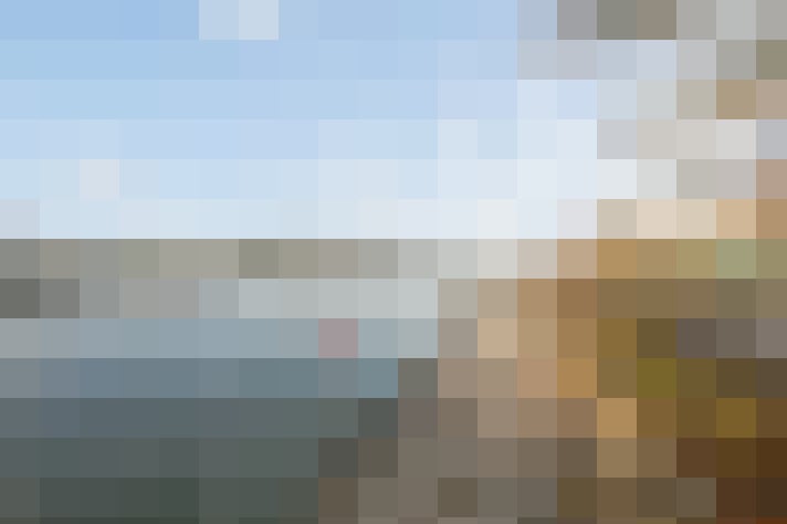 Image 15