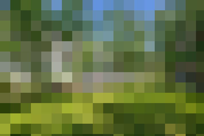 Image 31