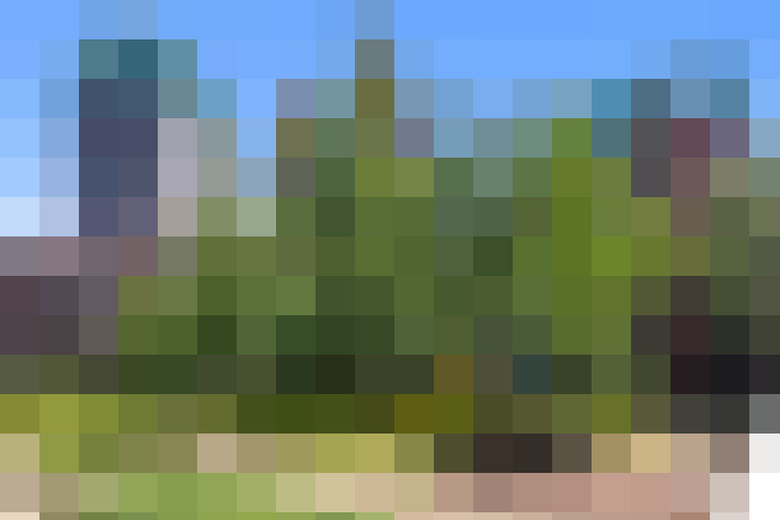 Image 32