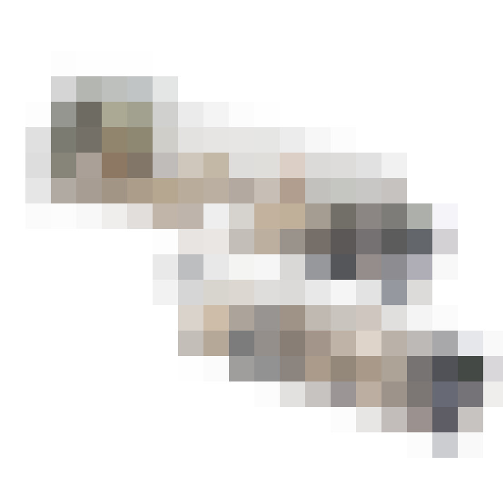 Image 33