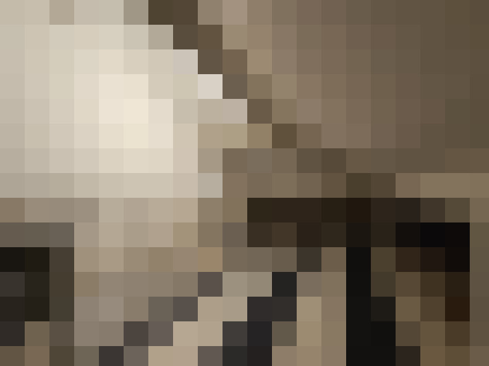 Image 13