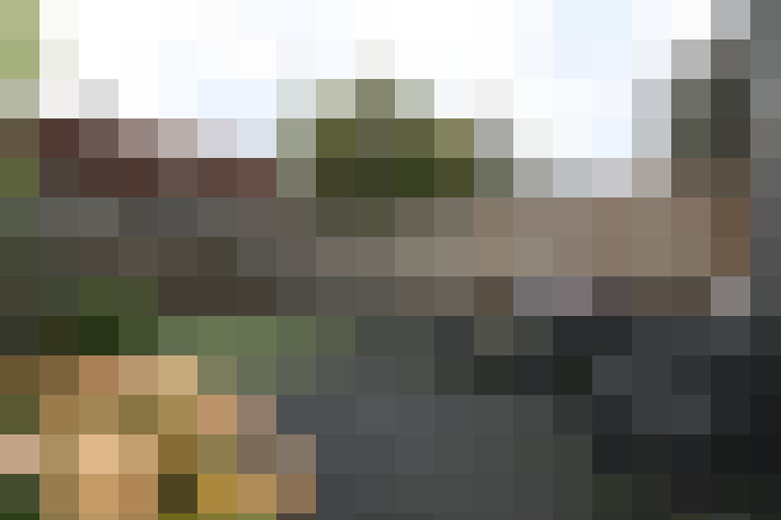 Image 36