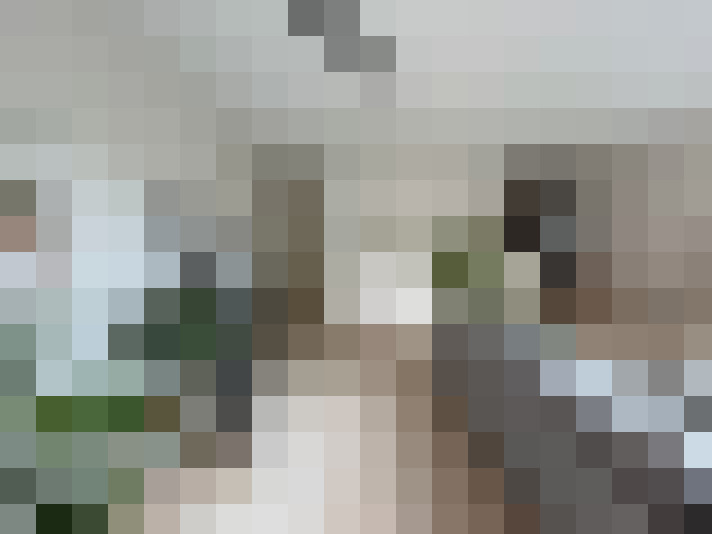 Image 17