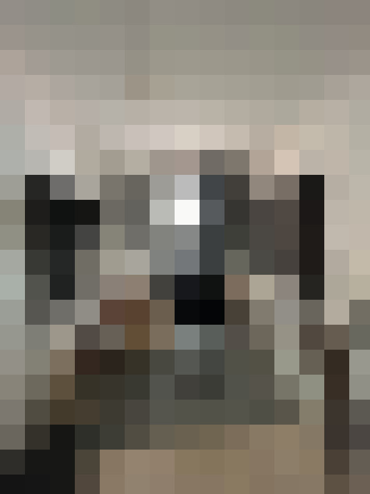 Image 22