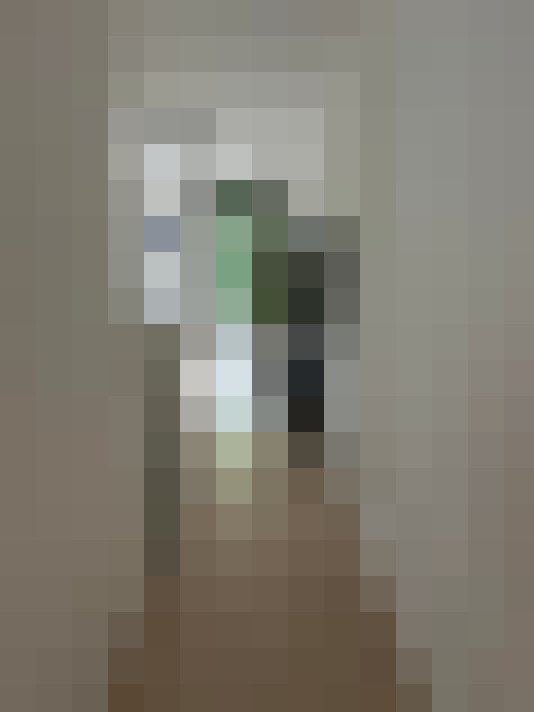 Image 20