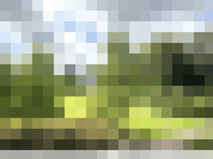 Image 22