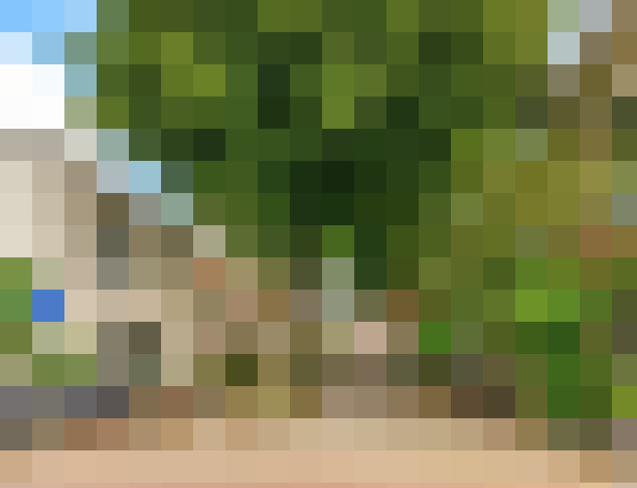 Image 34
