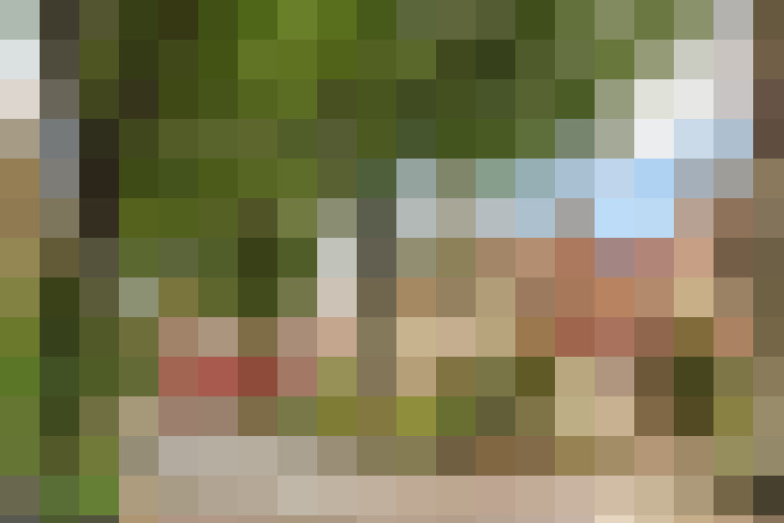 Image 32