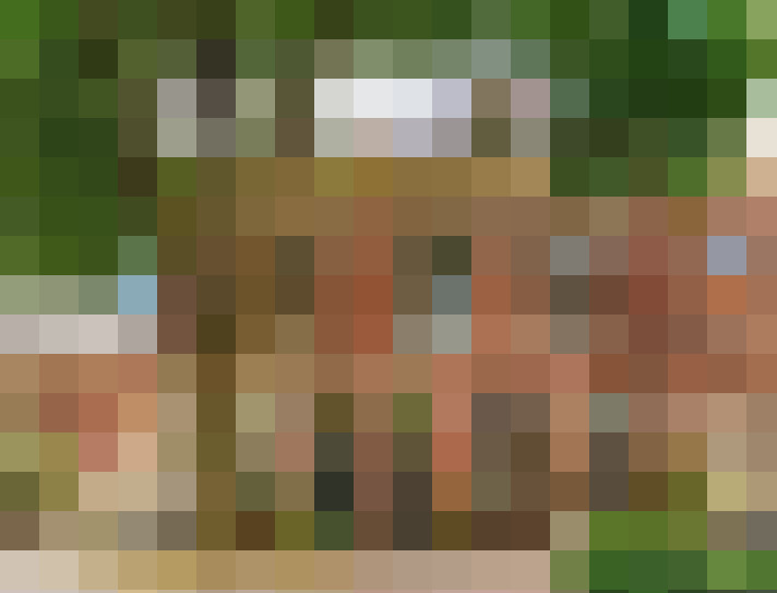 Image 38