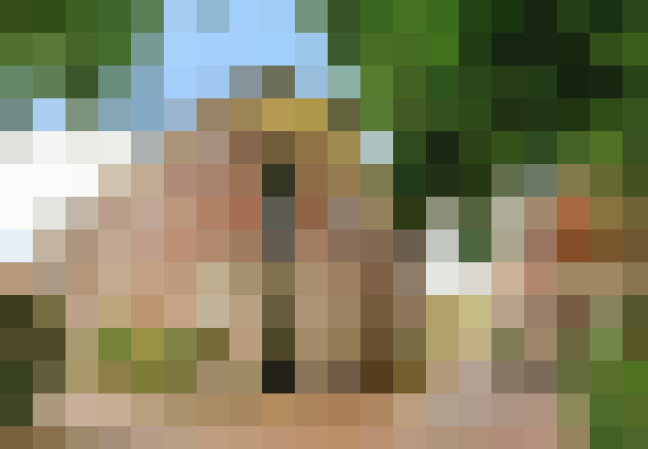 Image 33