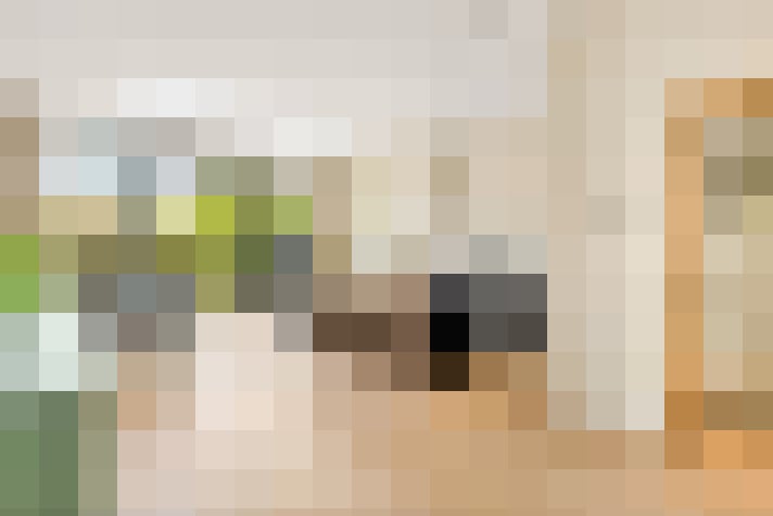 Image 22