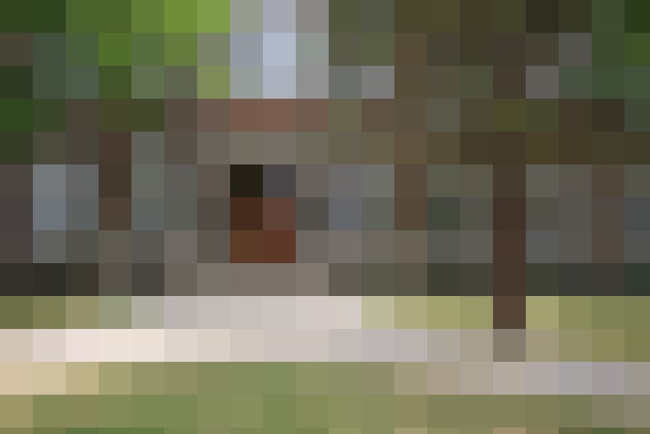 Image 13