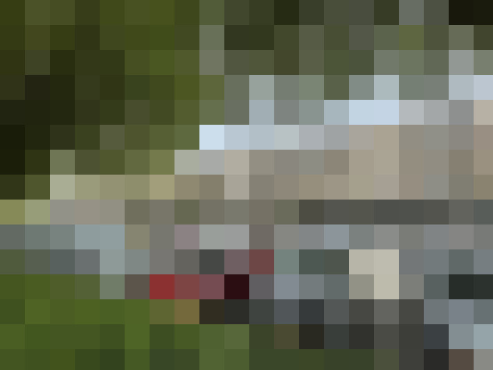 Image 14