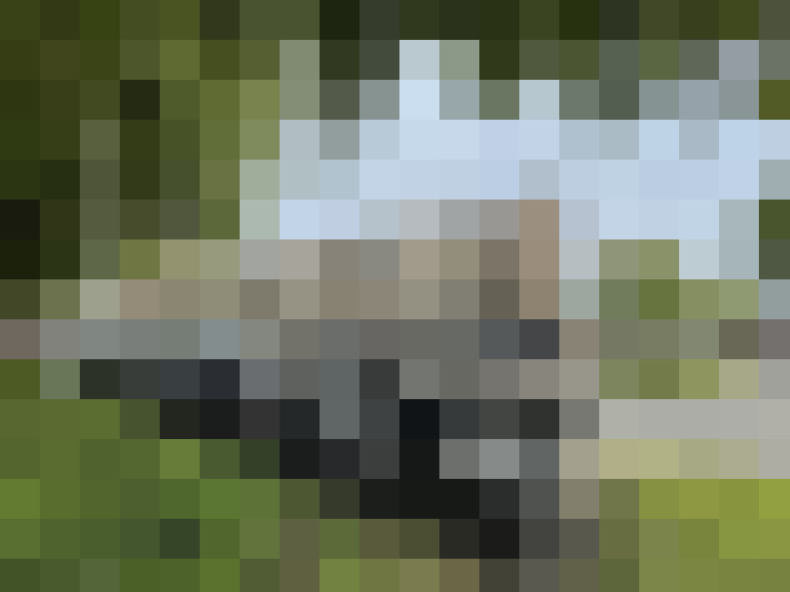 Image 13