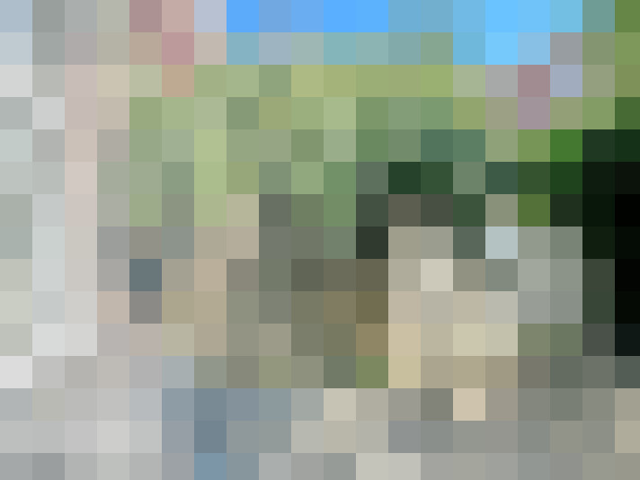 Image 15