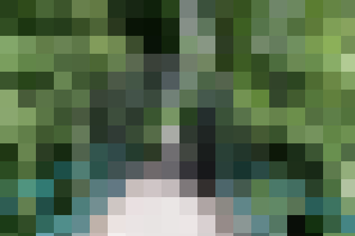 Image 35