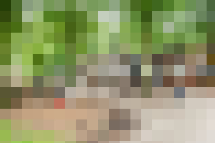 Image 36