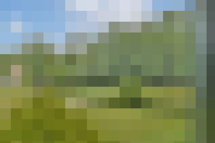 Image 37